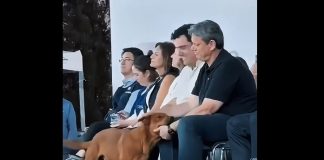 VÍDEO: Cachorro caramelo faz amizade com o governador de São Paulo em evento