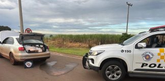 Polícia Rodoviária apreende carro transportando 200 perfumes importados sem nota fiscal em Santa Mercedes