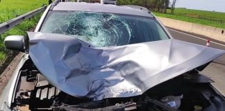 TRÂNSITO: Prudente registra aumento de mortes por atropelamento no 1º trimestre de 2025