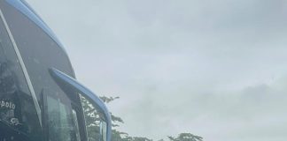 VÍDEO: Bolivianos que ingeriram cápsulas de cocaína e usavam palmilhas de maconha são presos em Monte Castelo