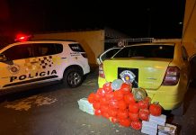 Polícia Rodoviária prende traficante com 50 Kg de entorpecentes na rodovia Assis Chateaubriand