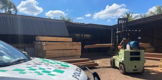 Madeireira é multada em R$ 1,6 mil por irregularidades sobre origem florestal em Regente Feijó