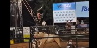 VÍDEO: Salva-vidas de rodeio é atingido e cai em cima de touro no MT