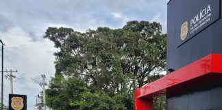 OPERAÇÃO PAZ NO LAR: Polícia Civil prende homem que ameaçava os próprios pais em Dracena