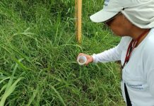 Feriado de Páscoa: VEM mantém ações e pede apoio contra a dengue ao morador que for viajar