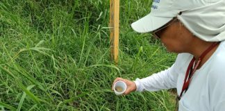 Feriado de Páscoa: VEM mantém ações e pede apoio contra a dengue ao morador que for viajar