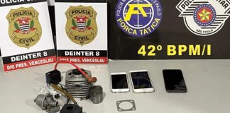 BAD ADOLESCENTE: Operação da Polícia Civil apreende adolescentes por furto e incêndio em Presidente Venceslau