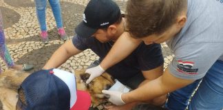 Vigilância de Prudente realiza plantão neste sábado (26) no Parque Ecológico Nelson Bugalho