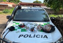 Polícia Militar Ambiental inicia Operação Semana do Meio Ambiente