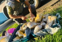 Polícia Rodoviária realiza prisão de boliviana com 11 Kg de “skank” na Raposo Tavares