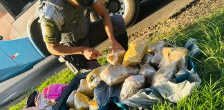 Polícia Rodoviária realiza prisão de boliviana com 11 Kg de “skank” na Raposo Tavares