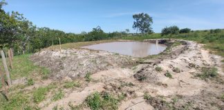 Sitiante é multado em R$ 2,6 mil por intervenção em área de preservação Presidente Bernardes