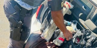 Polícia Rodoviária prende homem contrabandiando 169 quilos de cabelo humano