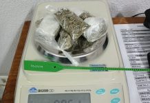 Jovem de 24 anos é preso pela sexta vez traficando drogas no Jardim Humberto Salvador