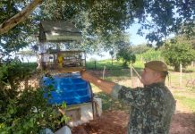 Homem é multado em R$ 1.000,00 por capturar ave silvestre em Mariápolis
