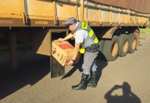 Polícia Rodoviária prende homem que fazia contrabando de cigarros e pneus em Rosana