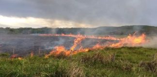 Idoso tem 35% do corpo queimado após atear fogo em terreno e desmaiar com fumaça
