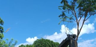 Mais um trator bate contra poste e deixa moradores do bairro José Rota sem energia