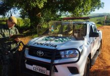 Morador de Teodoro Sampaio é multado em R$ 1,5 mil por manter aves silvestres em cativeiro