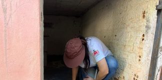 Prudente confirma quatro casos de febre chikungunya em 2025