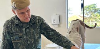 Após separação mulher deixa cachorra Pitbull do ex abandonada no Ana Jacinta e é multada em R$ 3 mil por maus tratos