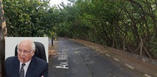 Vereador Ênio Perrone pede força-tarefa para tapa buracos e poda de árvores