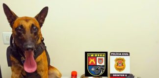 Polícia Civil prende três homens traficando nos bairros Humberto Salvador e João Domingos Neto