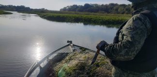 Cerca de 300 metros de redes irregulares são apreendidas no Rio Paraná em Panorama