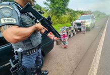 Polícia Rodoviária prende homem de 31 anos com 291 Kg de maconha