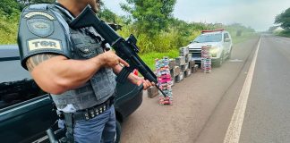 Polícia Rodoviária prende homem de 31 anos com 291 Kg de maconha