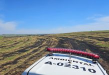 Proprietário de estância é multado pela Polícia Ambiental em R$ 68 mil por realizar queimada