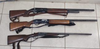 Polícia Ambiental multa homem por caça de javali e apreende três espigardas em Anhumas