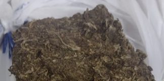 Homem é preso com meio quilo de maconha no Jardim Campo Belo