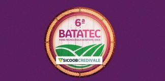 JULHO: Presidente Prudente se prepara para receber a 6ª Batatec, a maior feira tecnológica da batata-doce do país