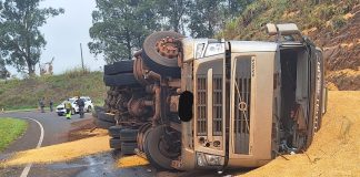 Carreta com milho tomba e polícia rodoviária encontra pistola falsa com motorista