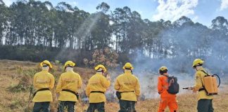 Governo de SP vai contratar brigadistas para ampliar combate a incêndios florestais na região de Prudente
