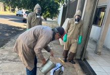 Saúde e UVZ realizam ações intensivas contra leishmaniose no bairro Alto da Boa Vista
