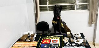 8º BAEP desmantela “boca de fumo” na Vila Iti em Presidente Prudente