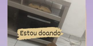 ADOÇÃO RESPONSÁVEL: Dona procura novo lar para cachorrinha caramelo