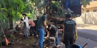 Semea anuncia mutirão de limpeza neste sábado na avenida Dr. Ibraim Nobre