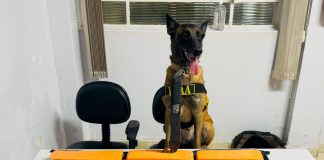 BAEP prende mãe e filho envolvidos em tráfico de drogas no Jardim Nova Planaltina