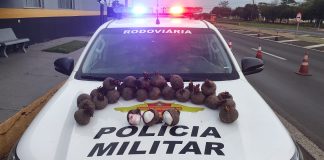 DROGA ORGÂNICA: Boliviano esconde cocaína dentro de 33 beterrabas em viagem de ônibus