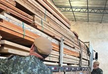 PIRAPOZINHO: Madeireiro é multado em mais de R$ 27 mil por inserir informação enganosa em sistema ambiental