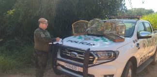 Homem recebe multa de R$ 2,5 mil por manter aves silvestres em cativeiro em cidade da região