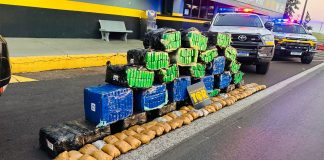 Polícia Rodoviária apreende carro com 521 Kg de drogas na Raposo Tavares em Álvares Machado