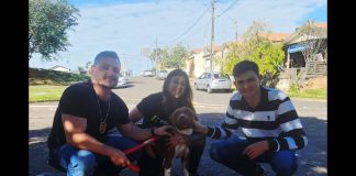 Após denúncia de maus tratos, vereador faz resgate de pitbull com apoio da Polícia Civil