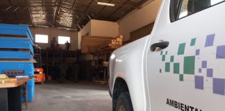 Empresa é multada em mais de R$ 6 mil por vender madeira nativa irregular em Presidente Prudente