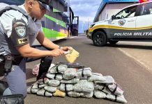 Polícia Rodoviária prende traficante com 13 kg de skank em Irapuru
