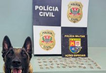 Homem é vítima de violência doméstica em Pirapozinho e vai preso com a mulher por tráfico de drogas em Pirapozinho