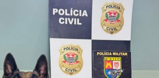Homem é vítima de violência doméstica em Pirapozinho e vai preso com a mulher por tráfico de drogas em Pirapozinho